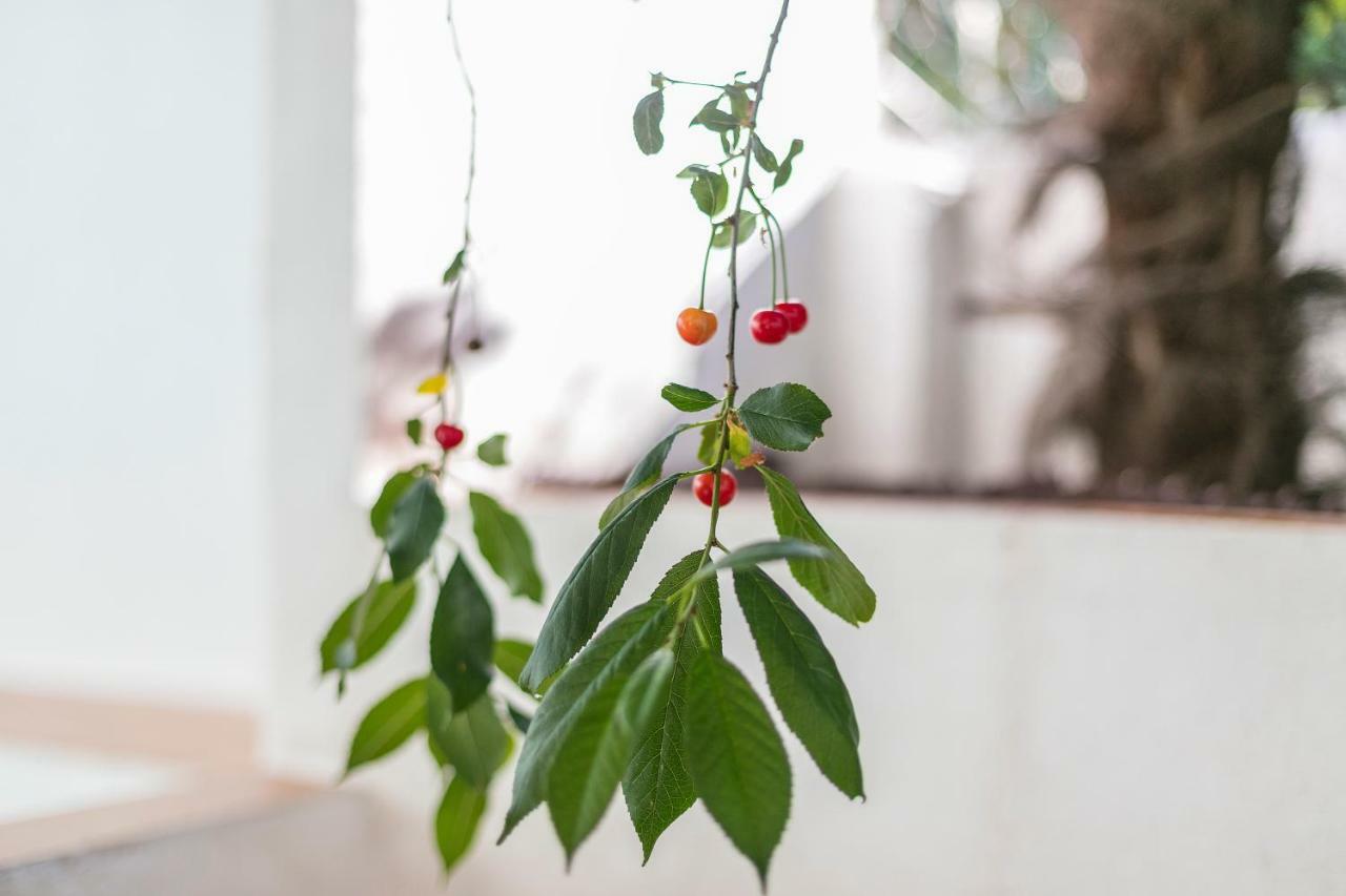 Fragrant Garden Apartment Lissabon Exterior foto