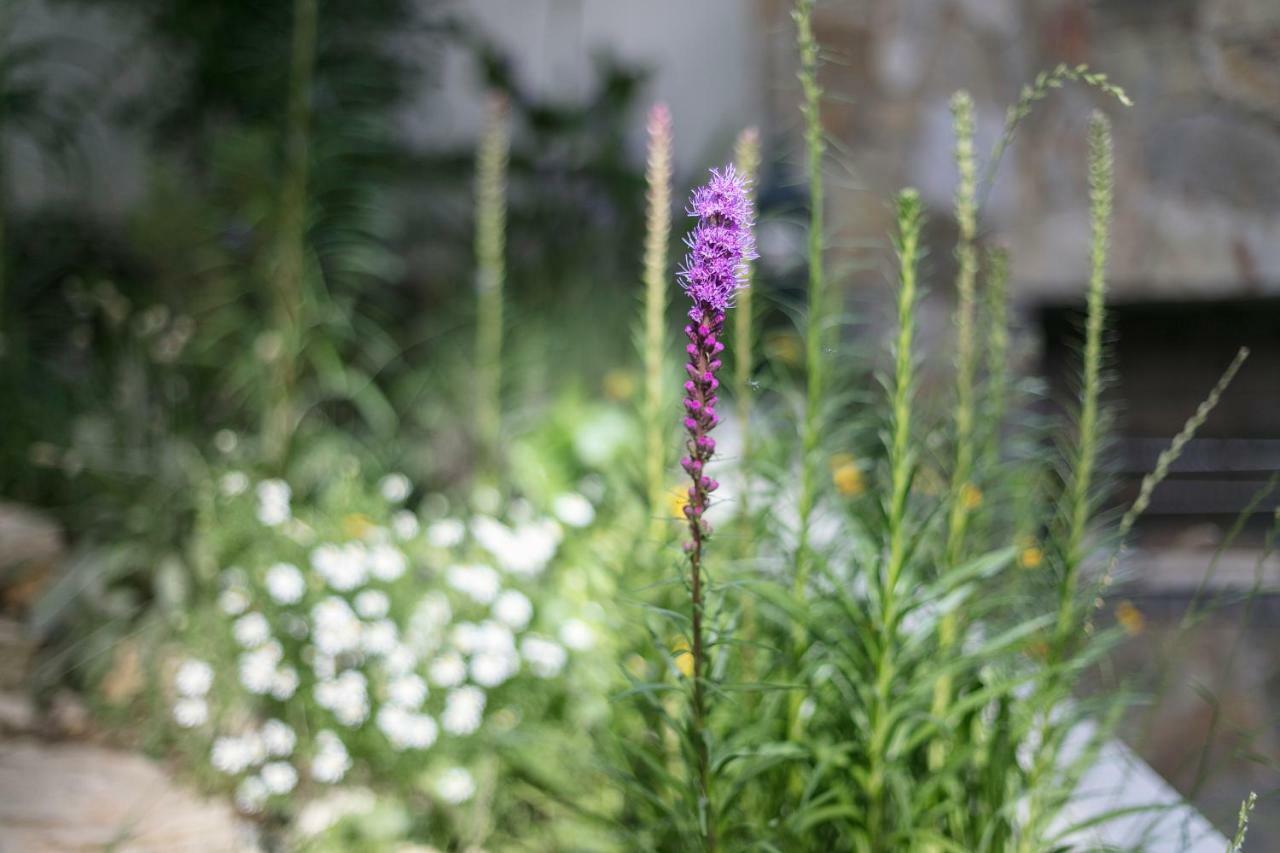 Fragrant Garden Apartment Lissabon Exterior foto